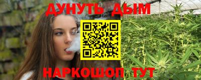 индика Ливны