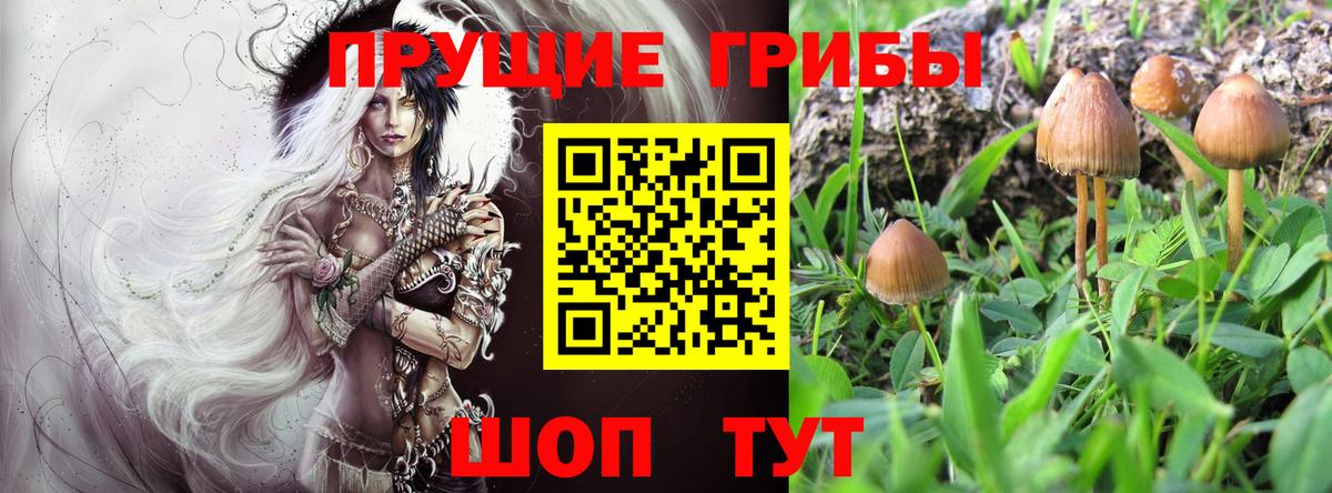 Галлюциногенные грибы мухоморы Чернушка