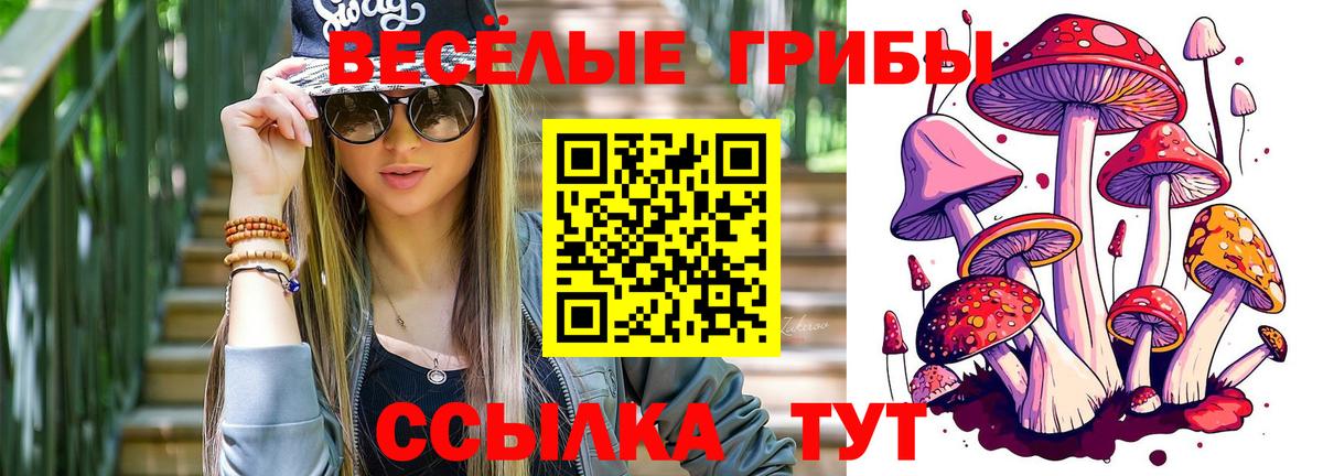 Чернушка  Галлюциногенные грибы прущие грибы  Вход с VPN  Галлюциногенные грибы Psilocybine cubensis 